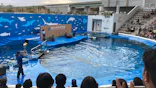 仙台うみの杜水族館に投稿された画像（2022/11/21）