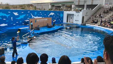 仙台うみの杜水族館に投稿された画像（2022/11/21）