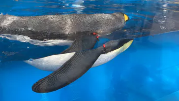 仙台うみの杜水族館に投稿された画像（2022/11/21）