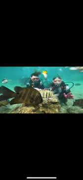 武藤潜水に投稿された画像（2022/11/21）