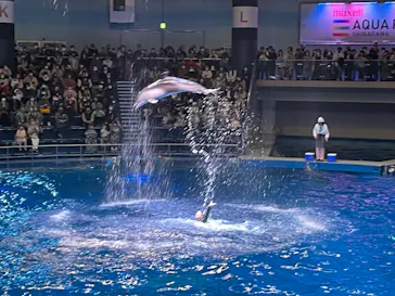 マクセル アクアパーク品川に投稿された画像（2022/11/21）