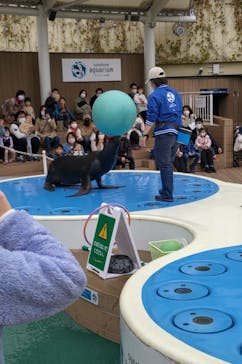 サンシャイン水族館に投稿された画像（2022/11/21）