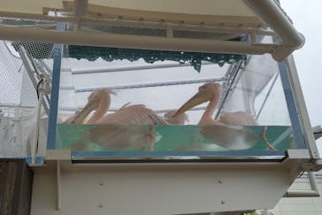 サンシャイン水族館に投稿された画像（2022/11/21）