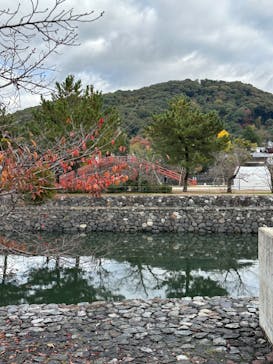 京阪電車に投稿された画像（2022/11/21）