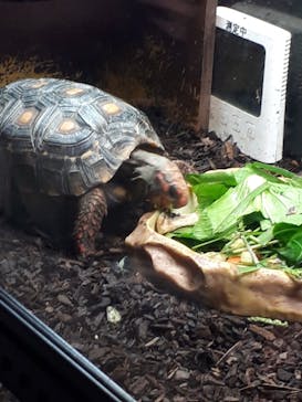 カワスイ 川崎⽔族館に投稿された画像（2022/11/21）