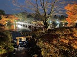 国営昭和記念公園 秋の夜散歩に投稿された画像（2022/11/21）