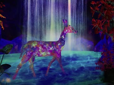 チームラボフォレスト 福岡 - SBI証券に投稿された画像（2022/11/21）