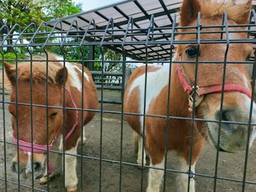 伊豆シャボテン動物公園に投稿された画像（2022/11/21）