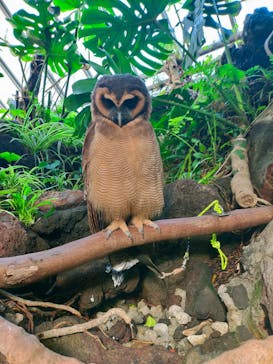 伊豆シャボテン動物公園に投稿された画像（2022/11/21）