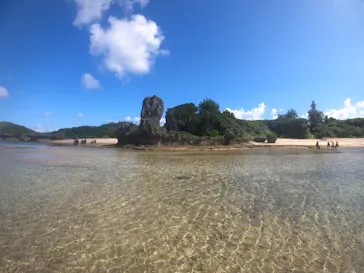 武藤潜水に投稿された画像（2022/11/21）