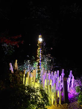 ムーミンバレーパークに投稿された画像（2022/11/21）