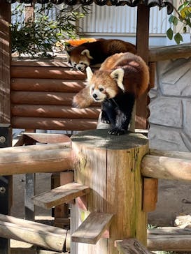 姫路セントラルパークに投稿された画像（2022/11/21）