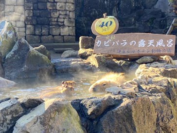 伊豆シャボテン動物公園に投稿された画像（2022/11/21）