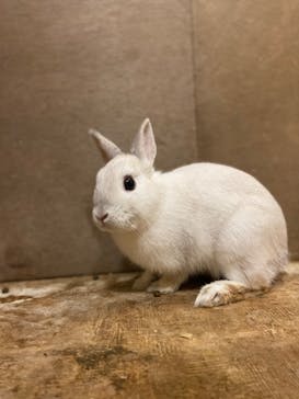 伊豆シャボテン動物公園に投稿された画像（2022/11/21）