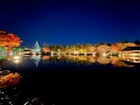 国営昭和記念公園 秋の夜散歩に投稿された画像（2022/11/21）