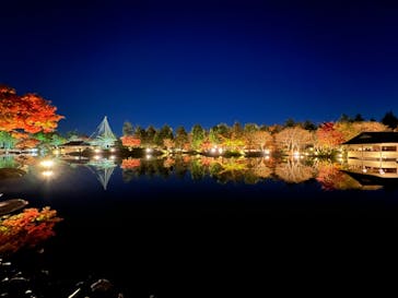 国営昭和記念公園 秋の夜散歩に投稿された画像（2022/11/21）
