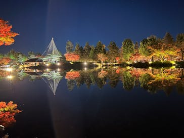 国営昭和記念公園 秋の夜散歩に投稿された画像（2022/11/21）
