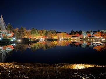 国営昭和記念公園 秋の夜散歩に投稿された画像（2022/11/21）