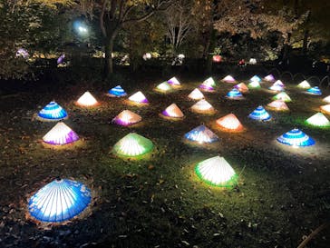 国営昭和記念公園 秋の夜散歩に投稿された画像（2022/11/21）