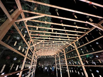 国営昭和記念公園 秋の夜散歩に投稿された画像（2022/11/21）