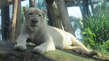 沖縄こどもの国に投稿された画像（2022/11/21）