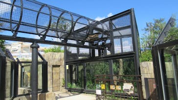 沖縄こどもの国に投稿された画像（2022/11/21）