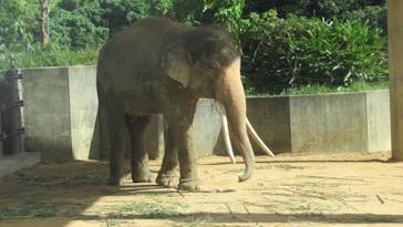 沖縄こどもの国に投稿された画像（2022/11/21）