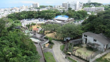 沖縄こどもの国に投稿された画像（2022/11/21）