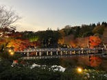 国営昭和記念公園 秋の夜散歩に投稿された画像（2022/11/21）