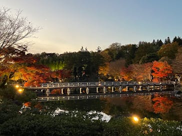 国営昭和記念公園 秋の夜散歩に投稿された画像（2022/11/21）