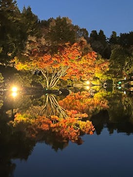 国営昭和記念公園 秋の夜散歩に投稿された画像（2022/11/21）