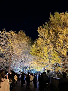 国営昭和記念公園 秋の夜散歩に投稿された画像（2022/11/21）