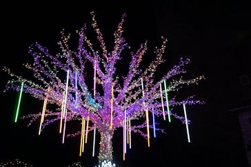 フェスタ・ルーチェに投稿された画像（2022/11/21）