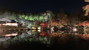 国営昭和記念公園 秋の夜散歩に投稿された画像（2022/11/21）