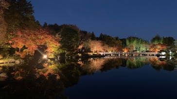 国営昭和記念公園 秋の夜散歩に投稿された画像（2022/11/21）