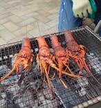 志摩市浜島磯体験施設 海ほおずきに投稿された画像（2022/11/21）