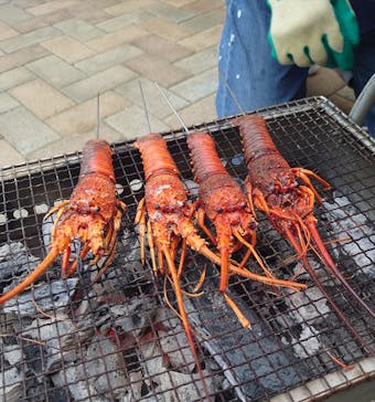 志摩市浜島磯体験施設 海ほおずきに投稿された画像（2022/11/21）