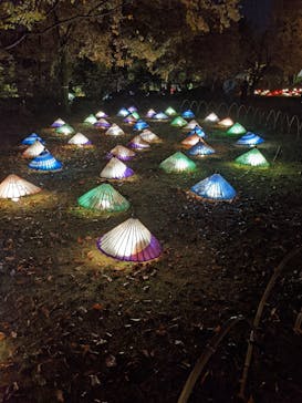 国営昭和記念公園 秋の夜散歩に投稿された画像（2022/11/21）