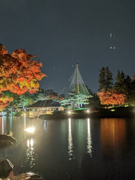 国営昭和記念公園 秋の夜散歩に投稿された画像（2022/11/21）