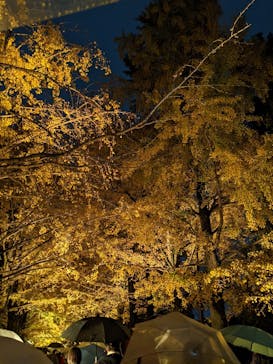 国営昭和記念公園 秋の夜散歩に投稿された画像（2022/11/21）
