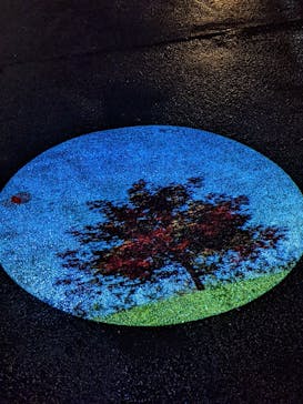 国営昭和記念公園 秋の夜散歩に投稿された画像（2022/11/21）