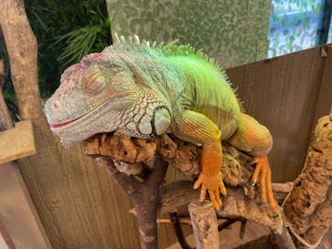 Moff animal world BIGHOPガーデンモール印西店に投稿された画像（2022/11/21）