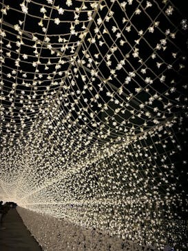 東京メガイルミに投稿された画像（2022/11/21）