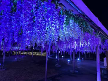 東京メガイルミに投稿された画像（2022/11/21）