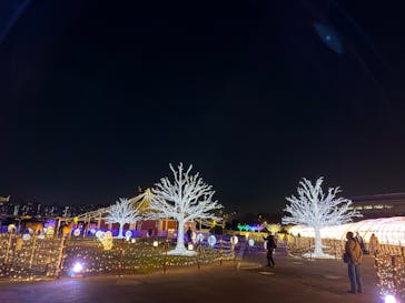 東京メガイルミに投稿された画像（2022/11/21）