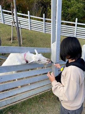 NESTA RESORT KOBE（ネスタリゾート神戸）に投稿された画像（2022/11/21）