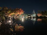 国営昭和記念公園 秋の夜散歩に投稿された画像（2022/11/21）