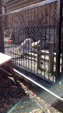 東武動物公園に投稿された画像（2022/11/21）