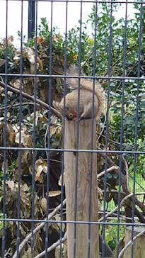 東武動物公園に投稿された画像（2022/11/21）