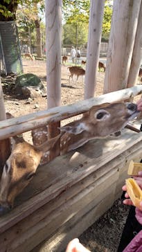 東武動物公園に投稿された画像（2022/11/21）